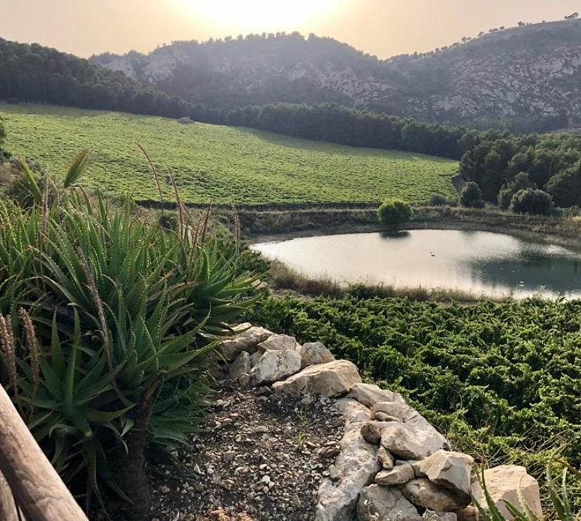 Agriturismo Tenute Pispisa Segesta كالاتافيمي المظهر الخارجي الصورة