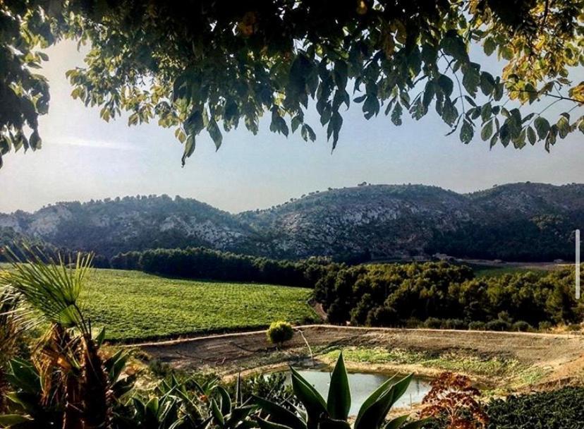 Agriturismo Tenute Pispisa Segesta كالاتافيمي المظهر الخارجي الصورة