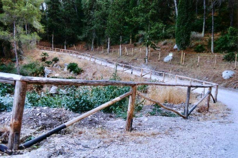 Agriturismo Tenute Pispisa Segesta كالاتافيمي المظهر الخارجي الصورة