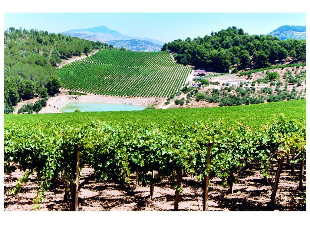 Agriturismo Tenute Pispisa Segesta كالاتافيمي المظهر الخارجي الصورة