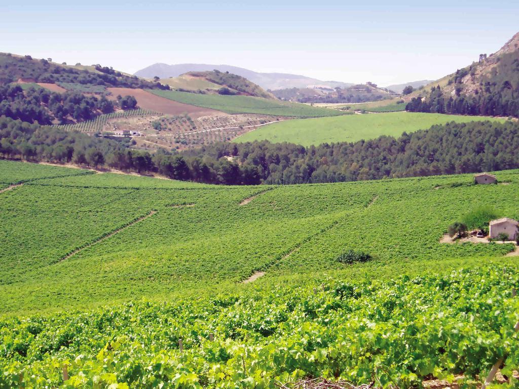 Agriturismo Tenute Pispisa Segesta كالاتافيمي المظهر الخارجي الصورة