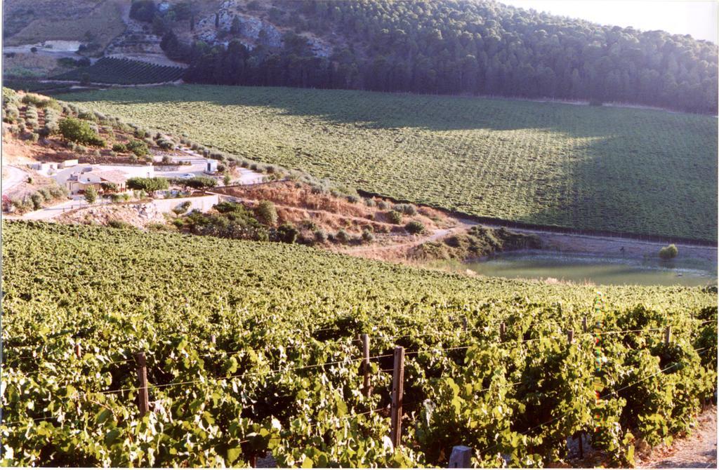Agriturismo Tenute Pispisa Segesta كالاتافيمي المظهر الخارجي الصورة
