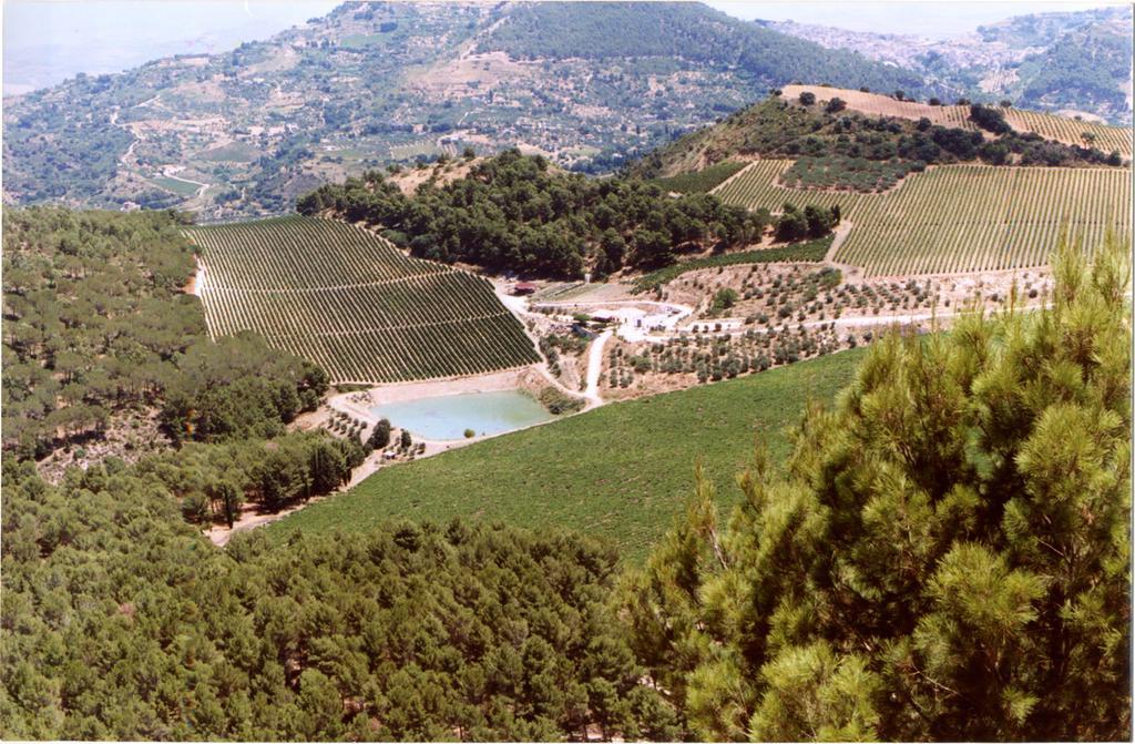 Agriturismo Tenute Pispisa Segesta كالاتافيمي المظهر الخارجي الصورة