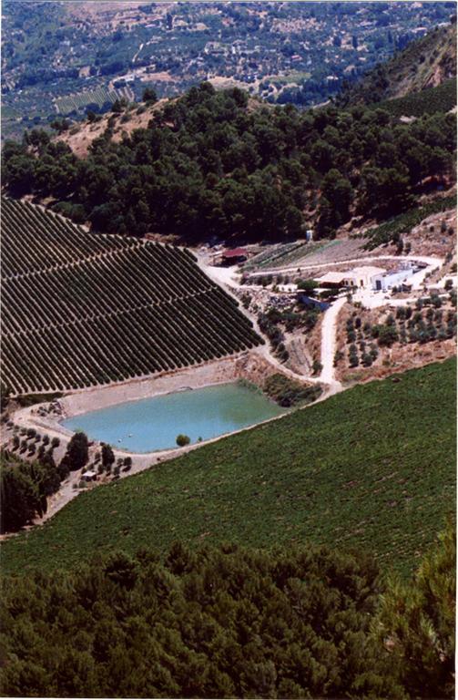 Agriturismo Tenute Pispisa Segesta كالاتافيمي المظهر الخارجي الصورة