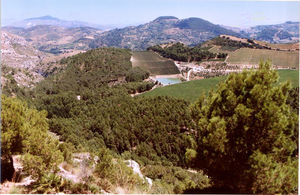 Agriturismo Tenute Pispisa Segesta كالاتافيمي المظهر الخارجي الصورة